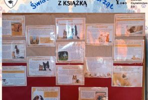 Powiększ obraz: 10