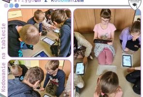 Powiększ obraz: 48