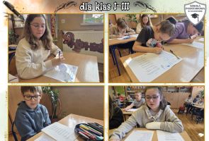 Powiększ obraz: 10