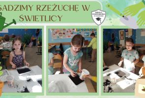 Powiększ obraz: IMG-20250428-WA0008