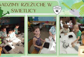 Powiększ obraz: IMG-20250428-WA0012