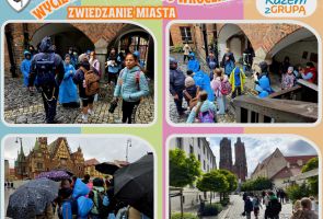Powiększ obraz: 41