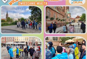 Powiększ obraz: 42