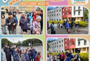 Powiększ obraz: 43