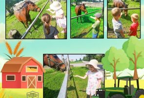 Powiększ obraz: gospodarstwo (2)