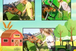 Powiększ obraz: gospodarstwo (3)