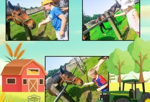 Powiększ obraz: gospodarstwo (4)