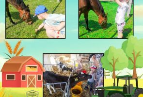 Powiększ obraz: gospodarstwo (5)