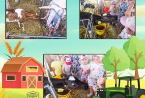 Powiększ obraz: gospodarstwo (6)