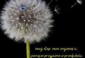 Powiększ obraz: spacery (1)