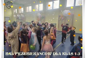 Powiększ obraz: ZDJĘCIE (15)