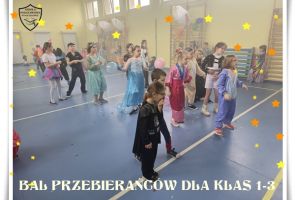 Powiększ obraz: ZDJĘCIE (16)