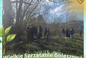 Powiększ obraz: 13