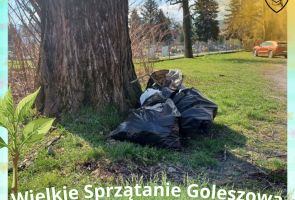Powiększ obraz: 14