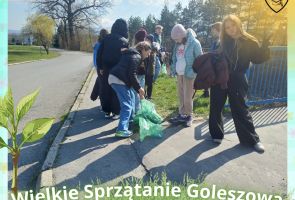 Powiększ obraz: 11