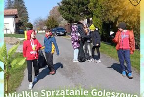 Powiększ obraz: 7