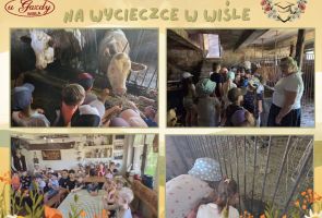 Powiększ obraz: 15