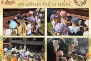 Powiększ obraz: 16