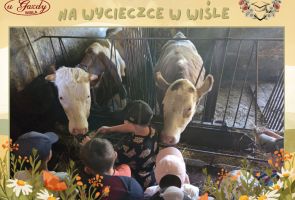 Powiększ obraz: 5