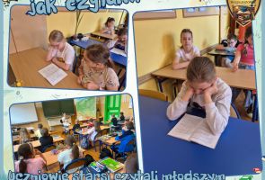 Powiększ obraz: 15