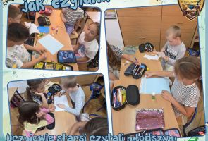 Powiększ obraz: 5