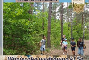 Powiększ obraz: 20260608_123502