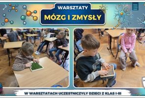 Powiększ obraz: 11