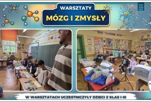 Powiększ obraz: 18