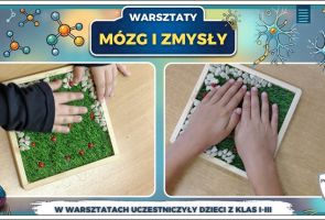 Powiększ obraz: 23