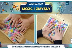Powiększ obraz: 24