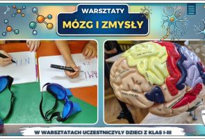Powiększ obraz: 31