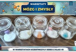 Powiększ obraz: 35